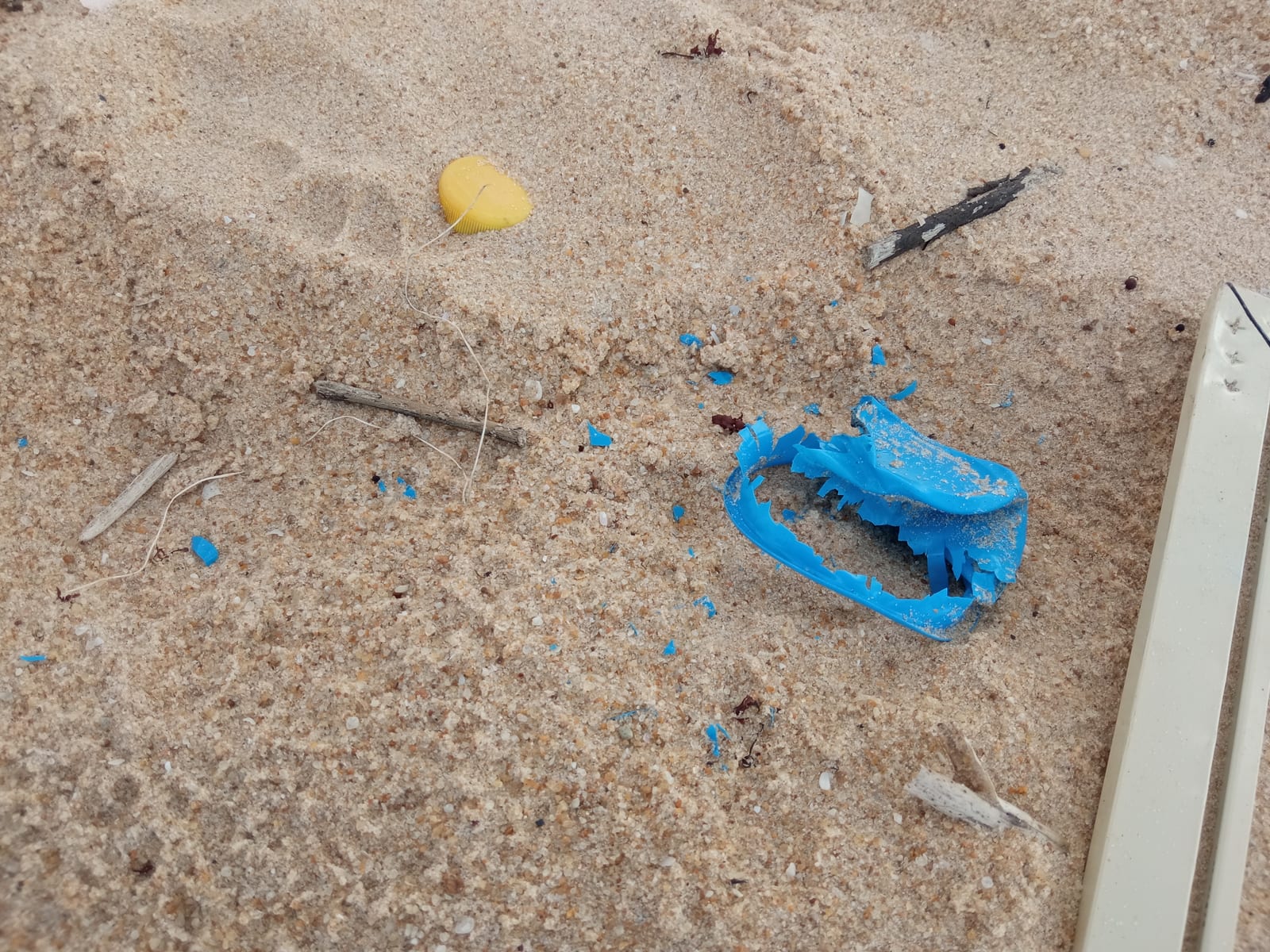 How Many Credit Cards of Plastic Will You Eat in Your Lifetime?